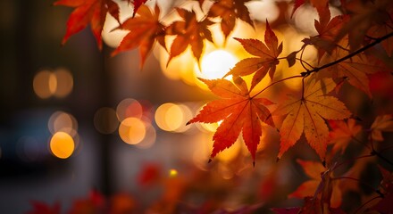 Fototapeta premium Autumnal Maple Leaves Silhouetted Against Warm Sunset Bokeh, Nature's Beauty.
