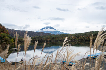 Saiko Lake, Saiko, Fujikawaguchiko, Minamitsuru District, Yamanashi, Japan, Fuji Mountain reflected in lake with reeds and boats in foreground during autumn
