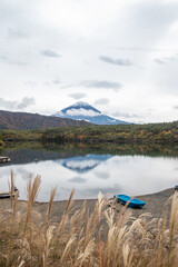Saiko Lake, Saiko, Fujikawaguchiko, Minamitsuru District, Yamanashi, Japan, Fuji Mountain reflected in calm lake with boat and reeds on shore