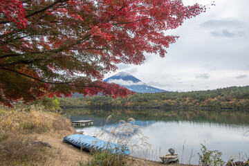 Saiko Lake, Saiko, Fujikawaguchiko, Minamitsuru District, Yamanashi, Japan Lake shore with red autumn leaves and Fuji mountain view in peaceful nature
