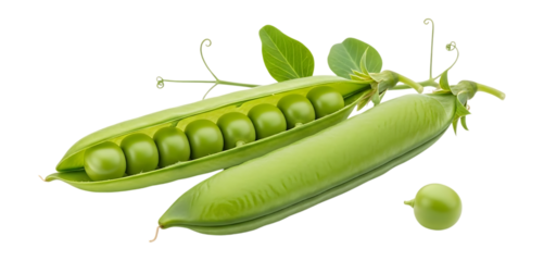 Two green pea pods with visible peas isolated on a transparent background vegetable