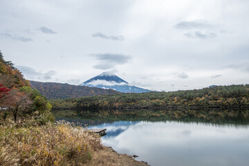 Saiko Lake, Saiko, Fujikawaguchiko, Minamitsuru District, Yamanashi, Japan, Fuji Mountain reflected in calm lake surrounded by autumn forest landscape