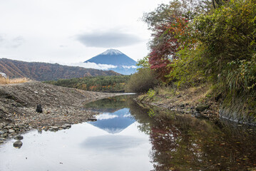 Mount Fuji reflected in river surrounded by autumn trees in Japan near Saiko Lake, Saiko, Fujikawaguchiko, Minamitsuru District, Yamanashi, Japan