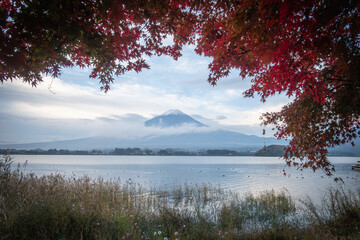 Lake Kawaguchi, Fujikawaguchiko, Minamitsuru District, Yamanashi, Japan, Scenic view of Fuji mountain and lake framed by autumn leaves in nature