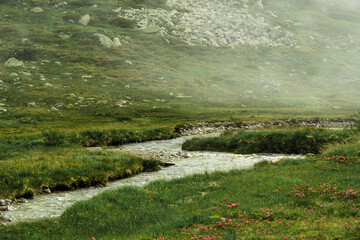 Small Alpine Stream Forming a Zigzag Pattern on the Olpererh&uuml;tte Route
