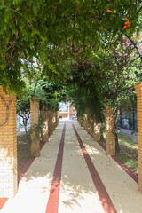 Brick column walkway with green canopy and striped tile path in sunlit garden setting