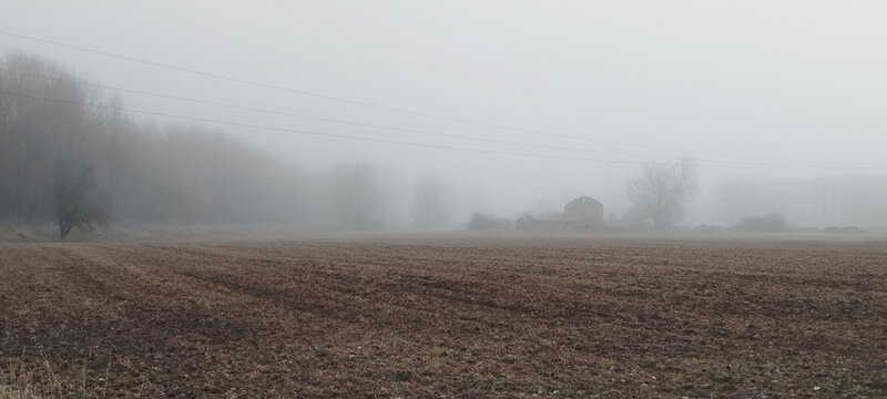 Neblina envolvente sobre campo arado y bosque oscuro en invierno en Burgos, Espa&ntilde;a