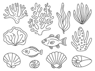 A collection of simple line drawings of marine life and coral.