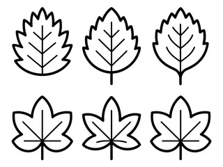 A collection of six stylized leaf icons in black and white.