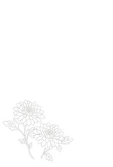 喪中はがき〈キク〉　A-2
