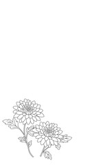 喪中はがき〈キク〉　A-1