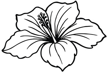 hibiscus black and white line art on white background