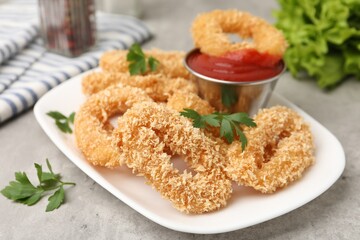 Deep fried squid rings with parsley and ketchup on grey textured table, closeup