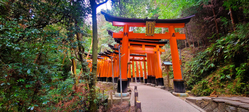 Fushimi Inari Taisha sanctuary, near Kyoto, Japan	

