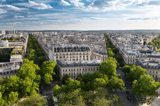 Paris France historic apartment architecture along tree lined avenues