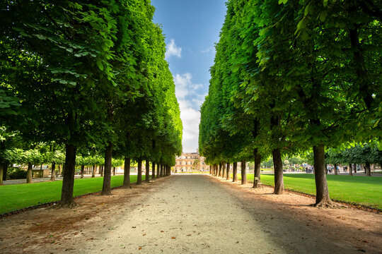 Paris France Luxembourg Palace garden public park perfect landscaping