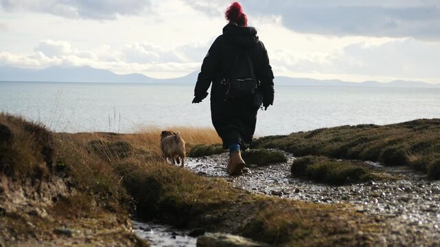 Female walking dog on welsh coastal moorland park with views of Snowdonia mountain range