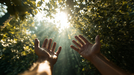 Hands Reaching for Sunlight Through Leaves in Lush Forest