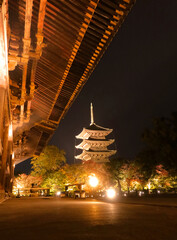 ライトアップで浮かび上がる京都・東寺の五重塔を金堂越しに望む