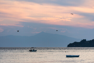 A beautiful sunset over sea with birds flying in the sky