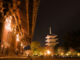 ライトアップで浮かび上がる京都・東寺の五重塔を金堂越しに望む