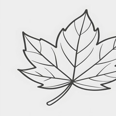 Black and white floral vector illustration of a lotus leaf design element for nature decoration art