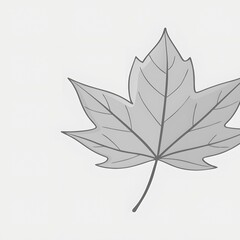 Maple leaf silhouette vector illustration of colorful autumn nature foliage for seasonal design