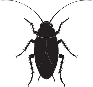 Cockroach silhouette illustration of a pest insect isolated on white background for pest control and hygiene concepts