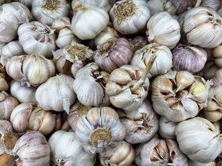 Close-up view of multiple garlic bulbs with papery skins, showcasing their natural texture and color at a grocery or market display.
