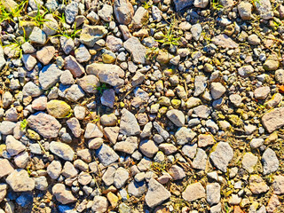 Natural gravel texture under bright sunlight with scattered grass and earthy tones