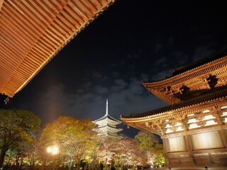 金堂と講堂越しにライトアップで浮かび上がる京都・東寺の五重塔を見る