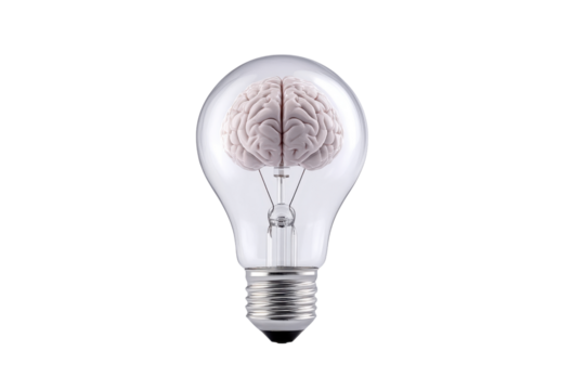 Light bulb containing realistic human brain on black background lightbulb idea, Isolated On White Background, Png Transparent