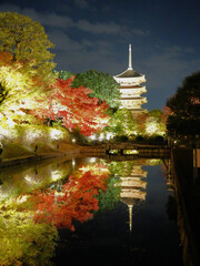 ライトアップで浮かび上がる京都・東寺の紅葉した木々が水面にリフレクションした風景