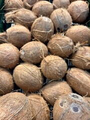 coconut
