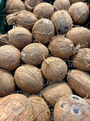 coconut

