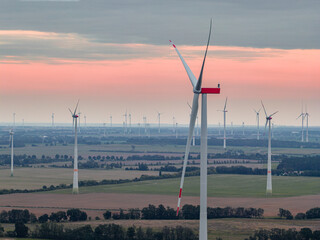 A vast wind farm at gentle evening light. Numerous wind turbines stand across fields and landscape while their blades turn in the wind.