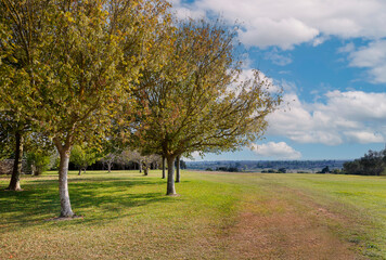 Prato inglese con alberi e panorama