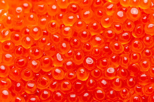 Red Caviar. Closeup of salmon fish roe caviar. Delicatessen. Texture of trout caviar. Chum salmon caviar macro shot.