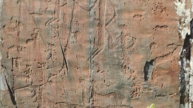 Petroglyphs of the Kalbak-Tash tract in Altai. A large deer, a ram and ancient hunting people are carved on the stone. Vertical video