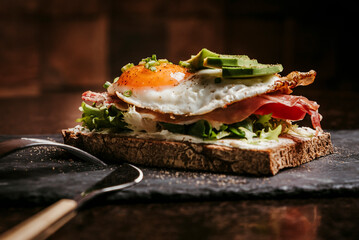 Gourmet sandwich with egg and avocado on rustic bread. Artisan sandwich with fried egg, avocado and fresh greens on toasted bread. Styled with warm light for premium food branding and editorial use.