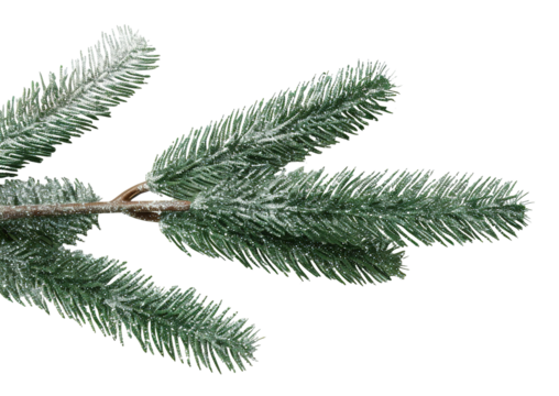 This glittering pine branch silhouette features sparkling details against a transparent background, making it ideal for seasonal decorations or creative projects