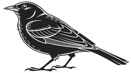 Vector illustration black bird illustration in vintage woodcut style