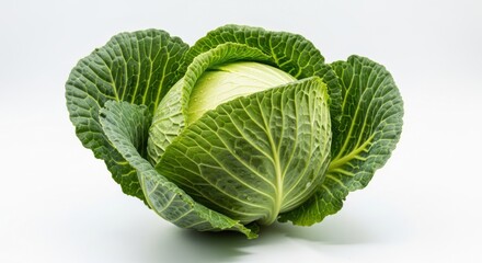 Obraz premium Fresh Green Cabbage Isolated on White Background