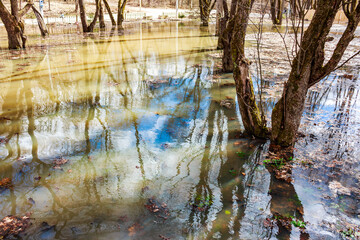 Spring floodwaters inundate a riverside area, creating shimmering reflections of bare tree trunks and patches of blue sky on the muddy surface