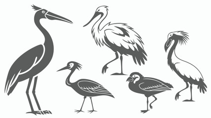 Fototapeta premium Vector illustration silhouette illustration of five different wading birds standing in various poses