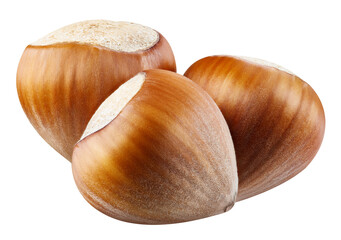 Three hazelnut with PNG. Hazelnuts isolated on a transparent background. Hazelnut full macro photo
