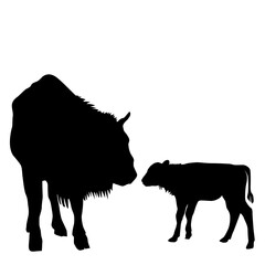 Bison mother and child silhouette.eps