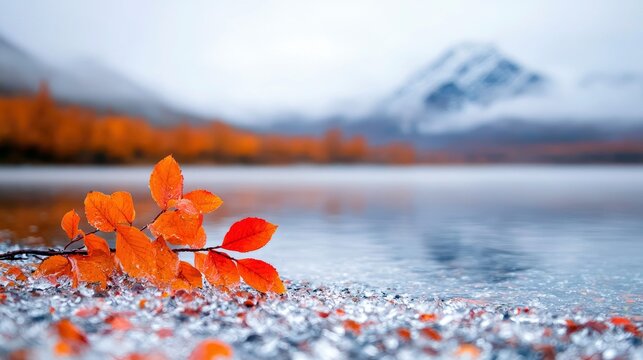 Close-up of vibrant orange autumn leaves resting on a rocky shoreline with a tranquil lake and a snow-capped mountain in the background, creating a serene and m - Powered by Adobe