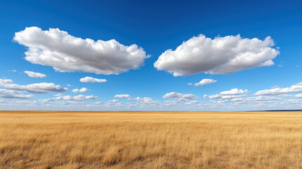 Golden grassland under dramatic blue sky with fluffy clouds evoking calmness