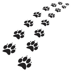 Fototapeta premium Vector illustration path of black animal paw prints walking diagonally across a